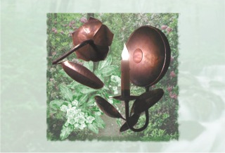 Organic enviromental illumination